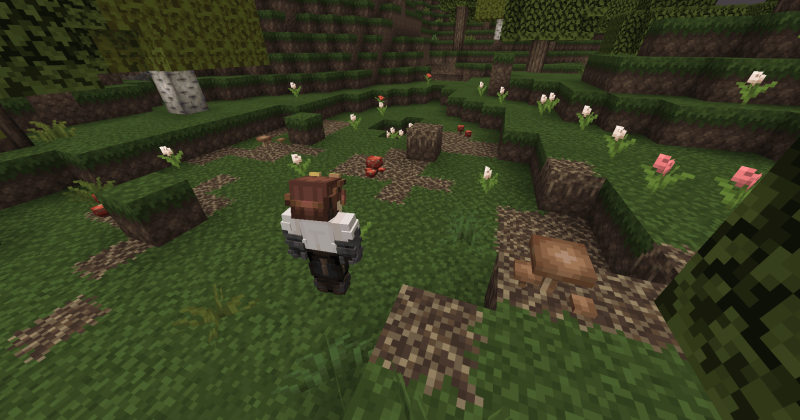 File:Fungi Growth.png